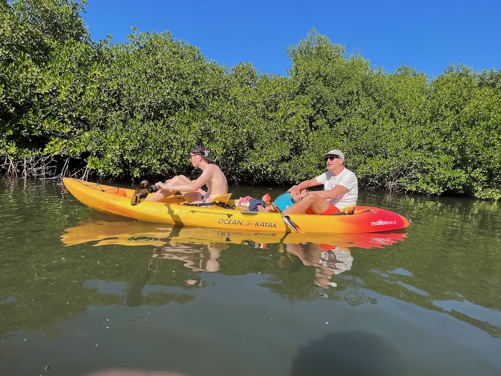 Mangrove Information Center