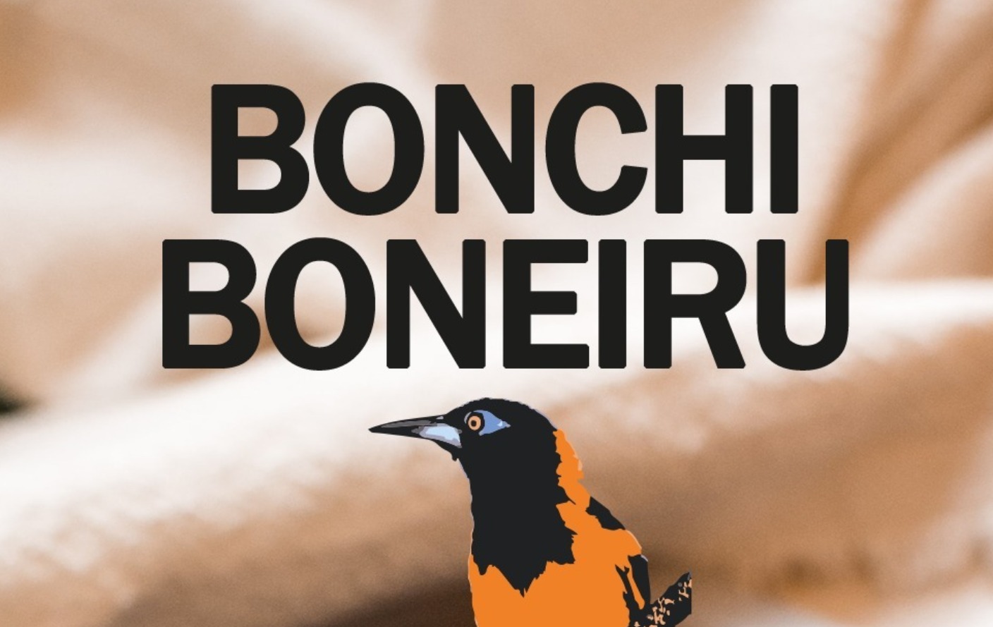 Bonchi Boneiru