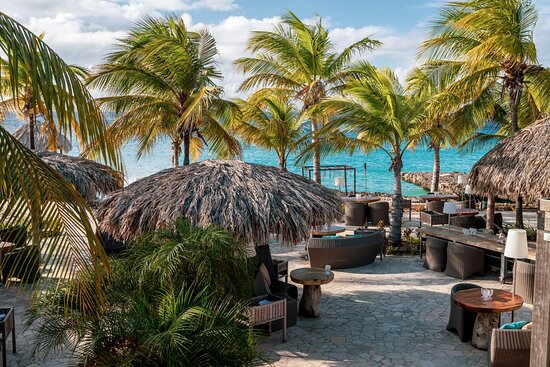 Club Tropicana
