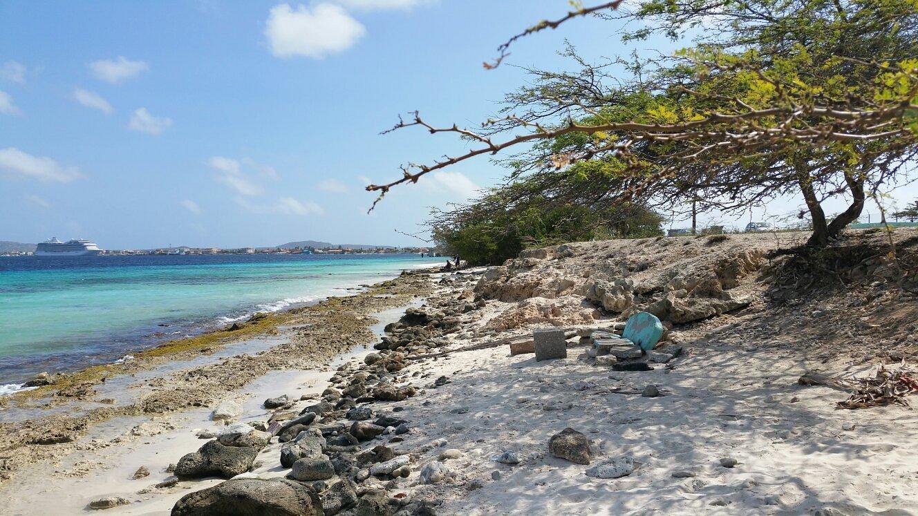 Bachelor’s Beach
