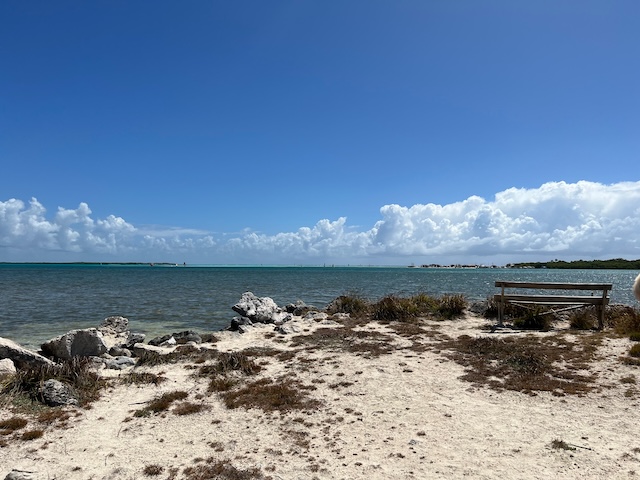 Donkey Beach