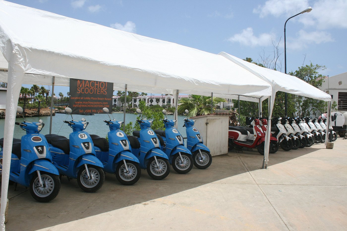 Macho Scooters & Car Rentals