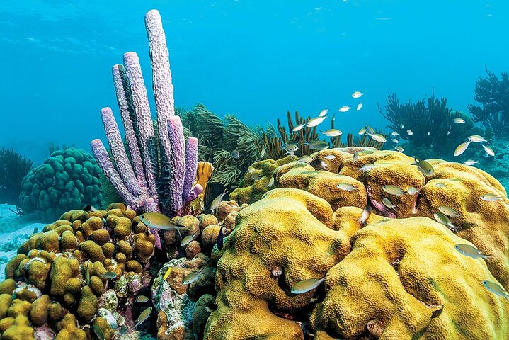Salty Tours Bonaire