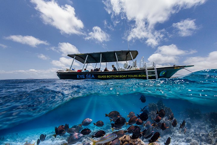 Eye Sea Bonaire