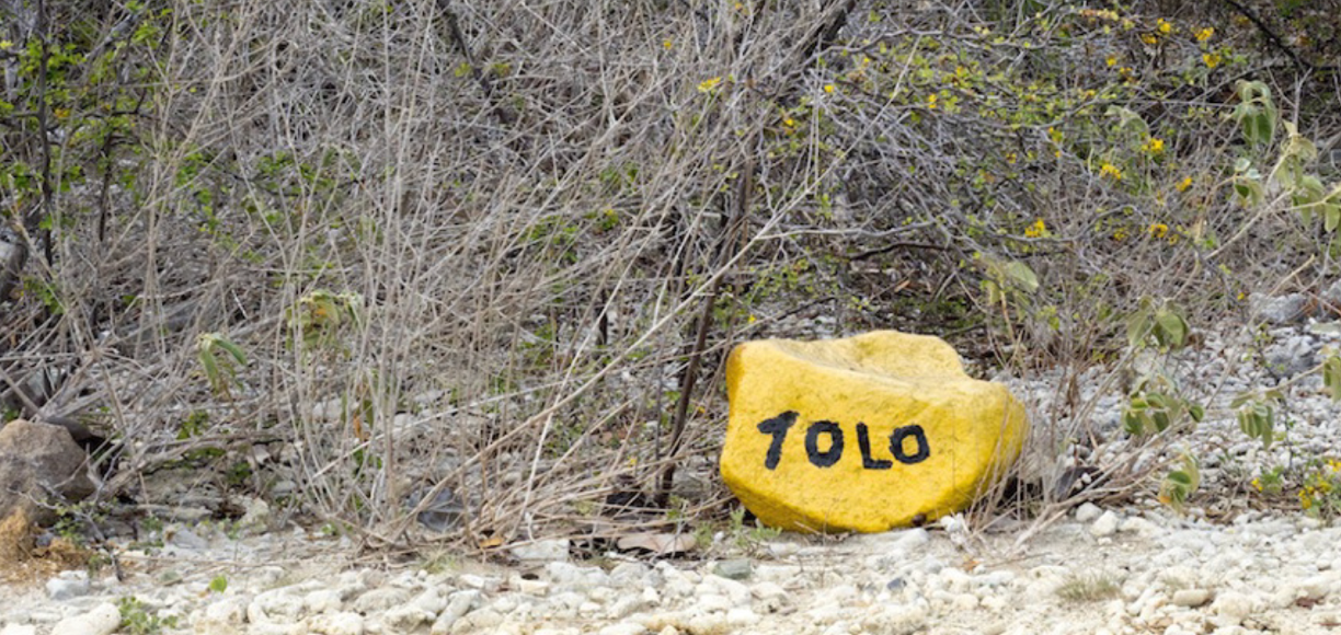Ol' Blue / Boka di Tolo