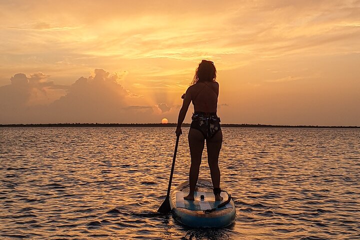Paddleboarding Bonaire