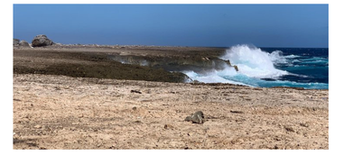 Shekhinah Tours Bonaire