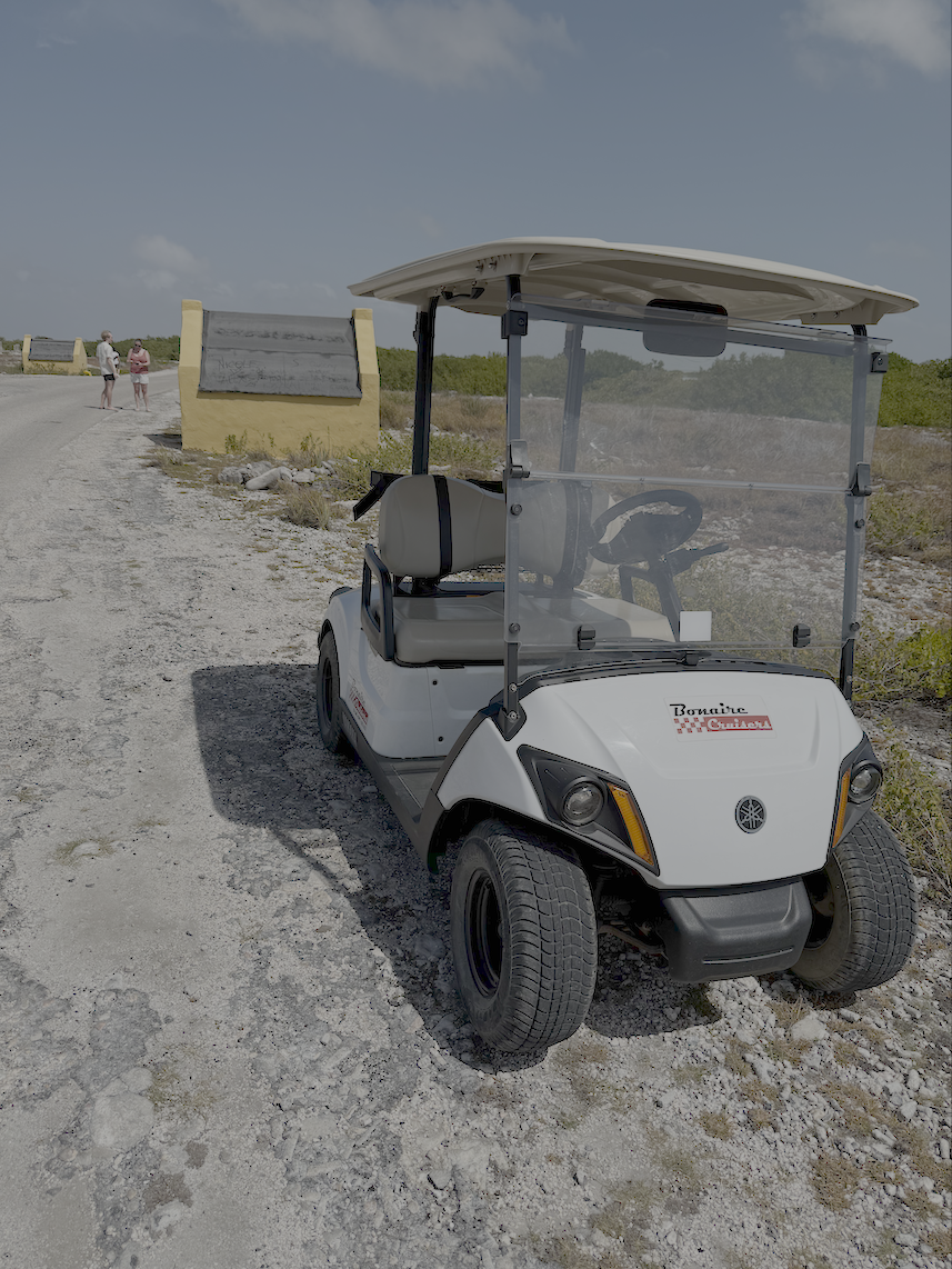 Bonaire Cruisers