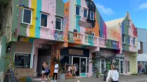 Jungle Concept Store